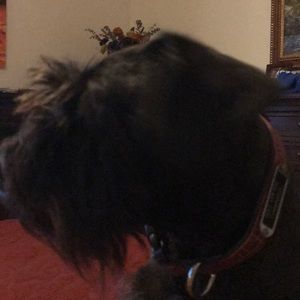 Meet your Posher, Lynne